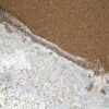 Plage – Image 5
